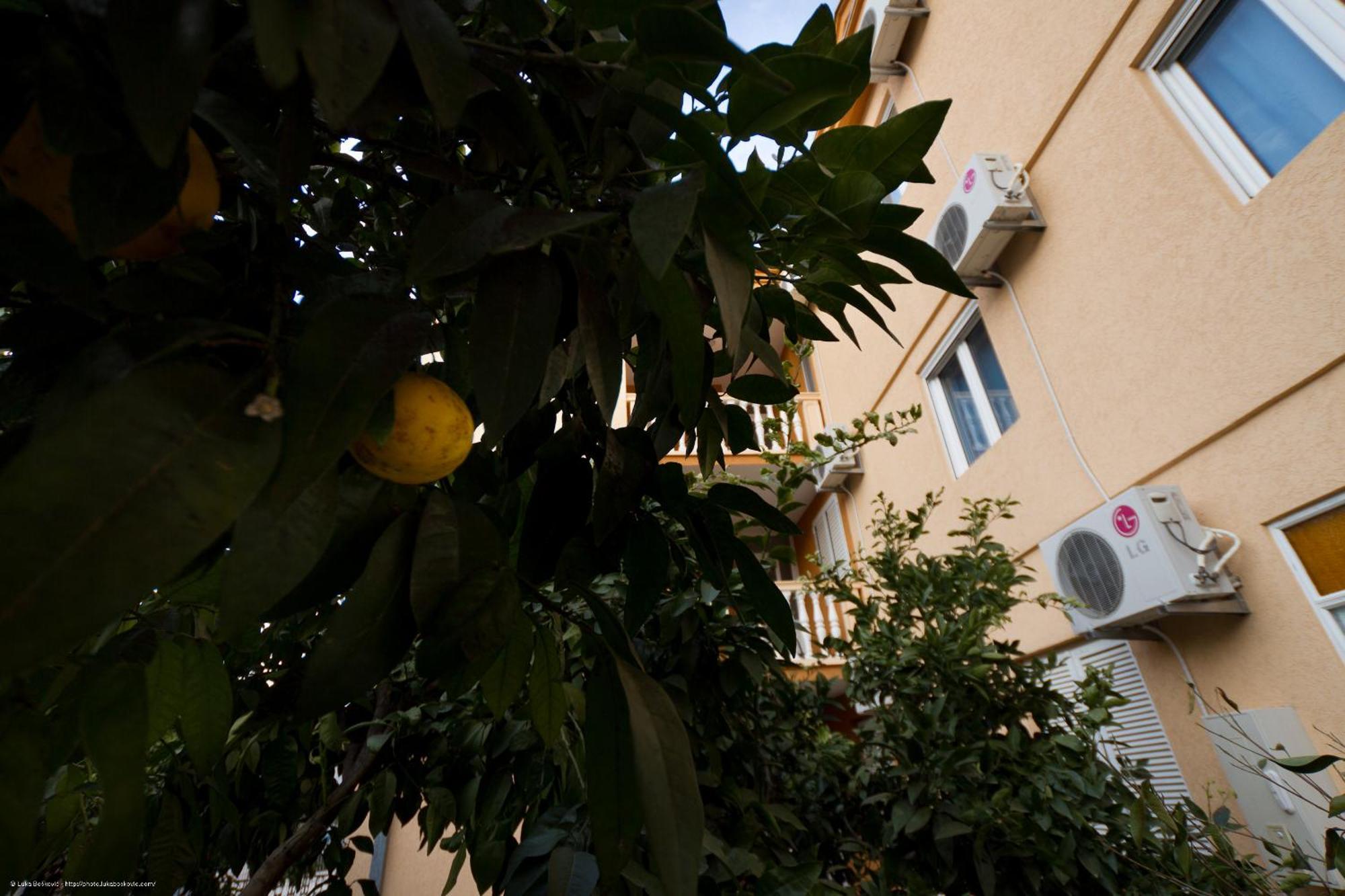 Apartments Dalila Ulcinj Exterior foto